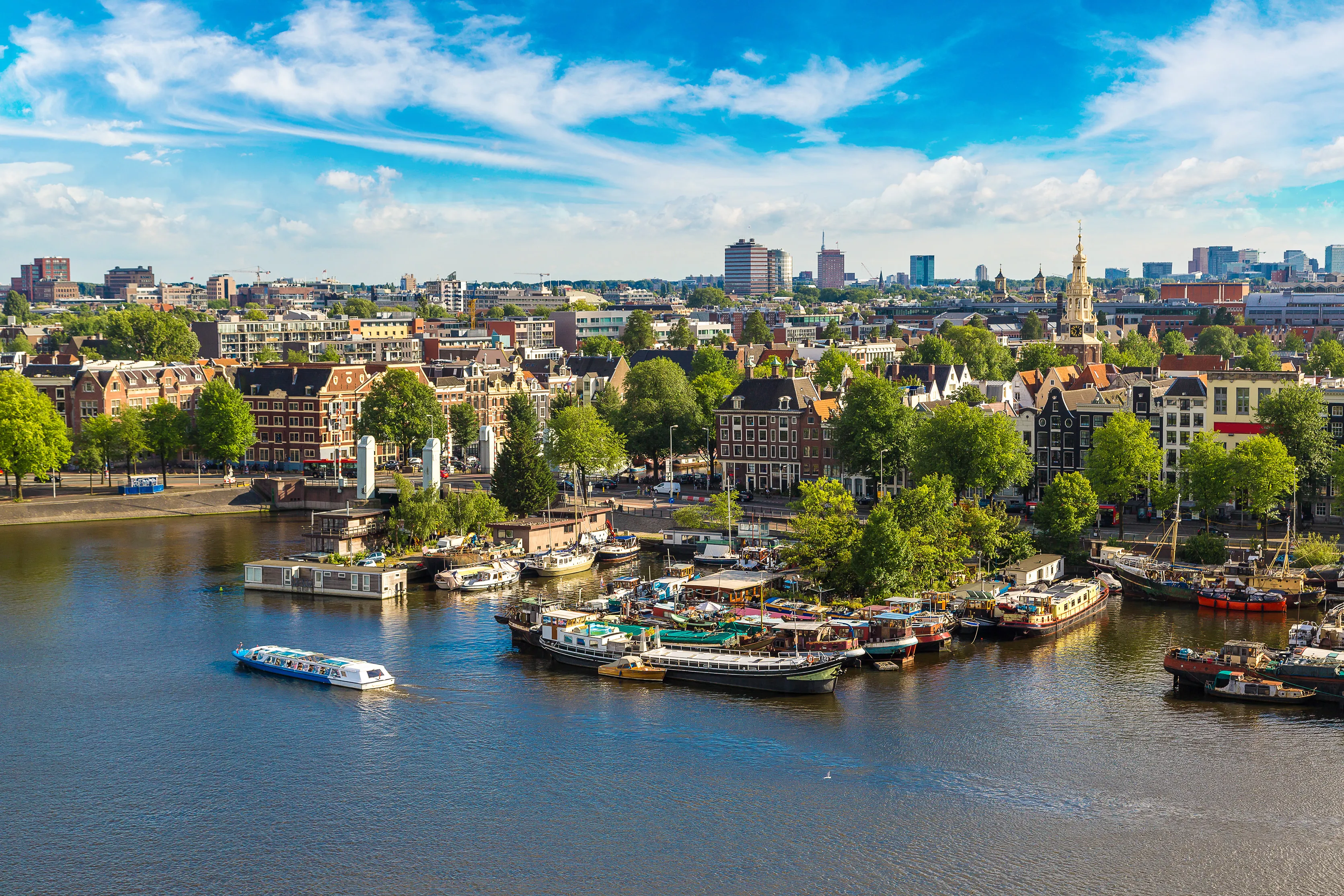 Remote collaboration via video call