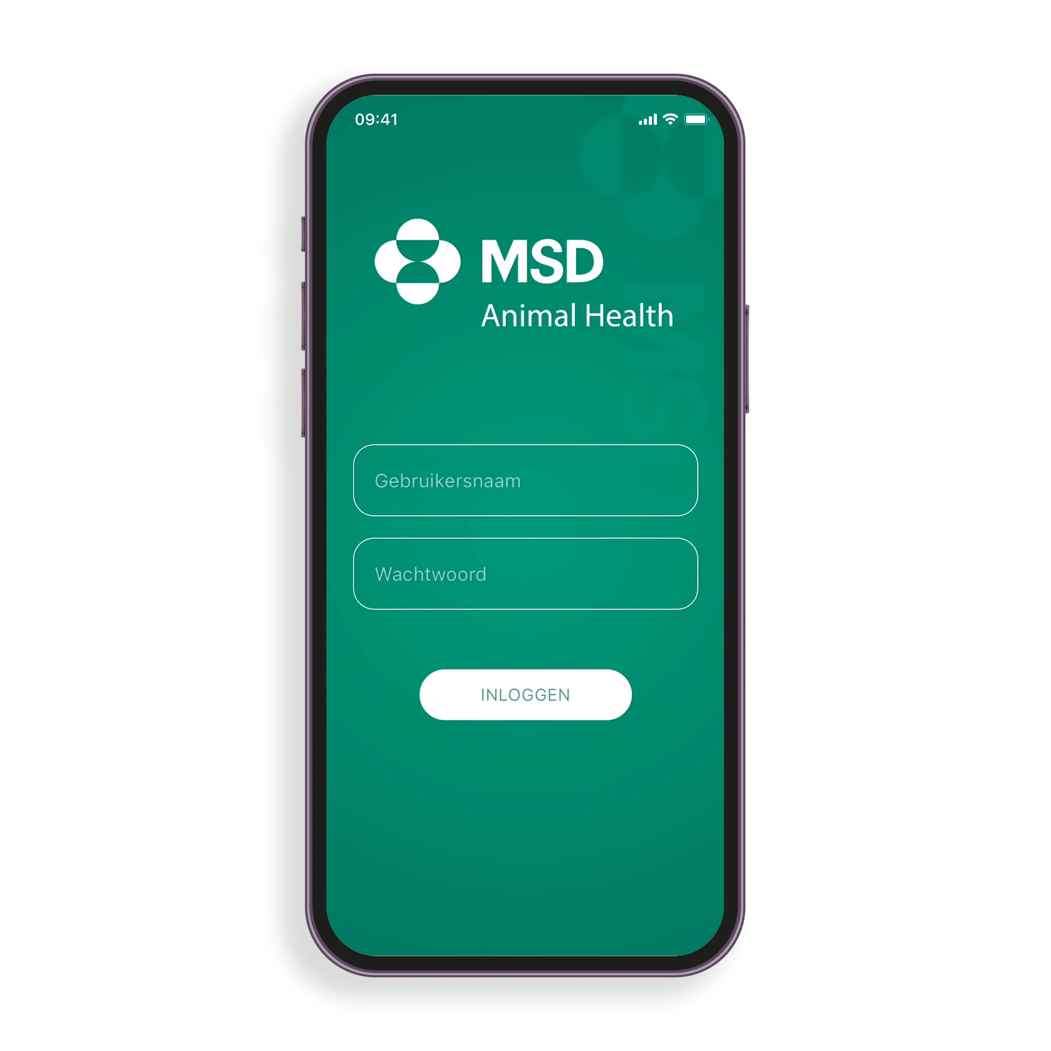 SlaughterCheck — login screen